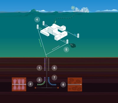 The carbon sequestration process